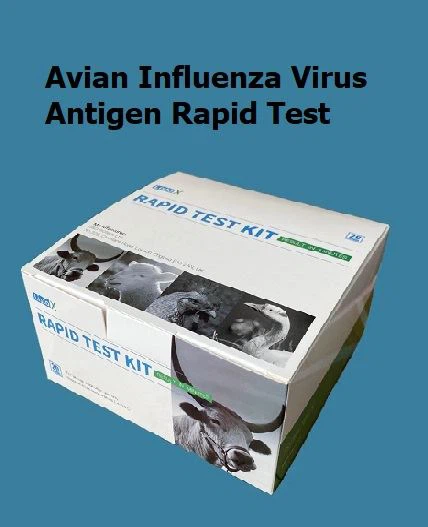Avain influenza-antigeen sneltest